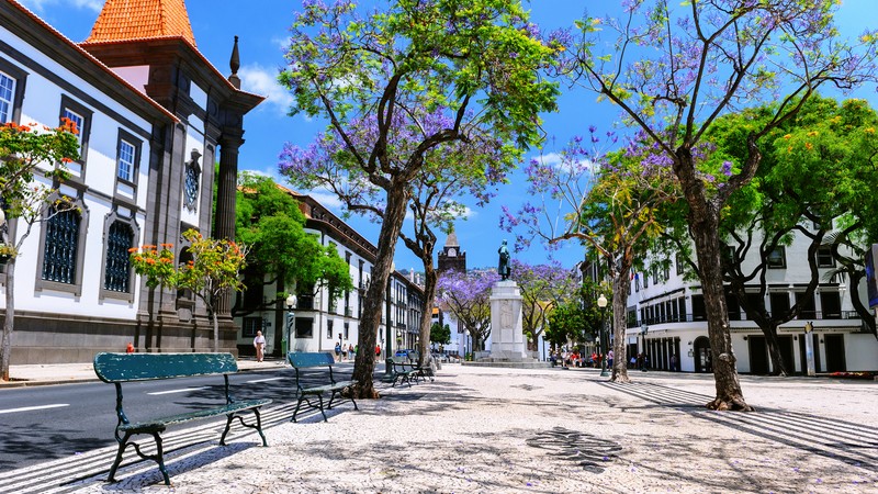 madeira3_shutterstock_800pgt